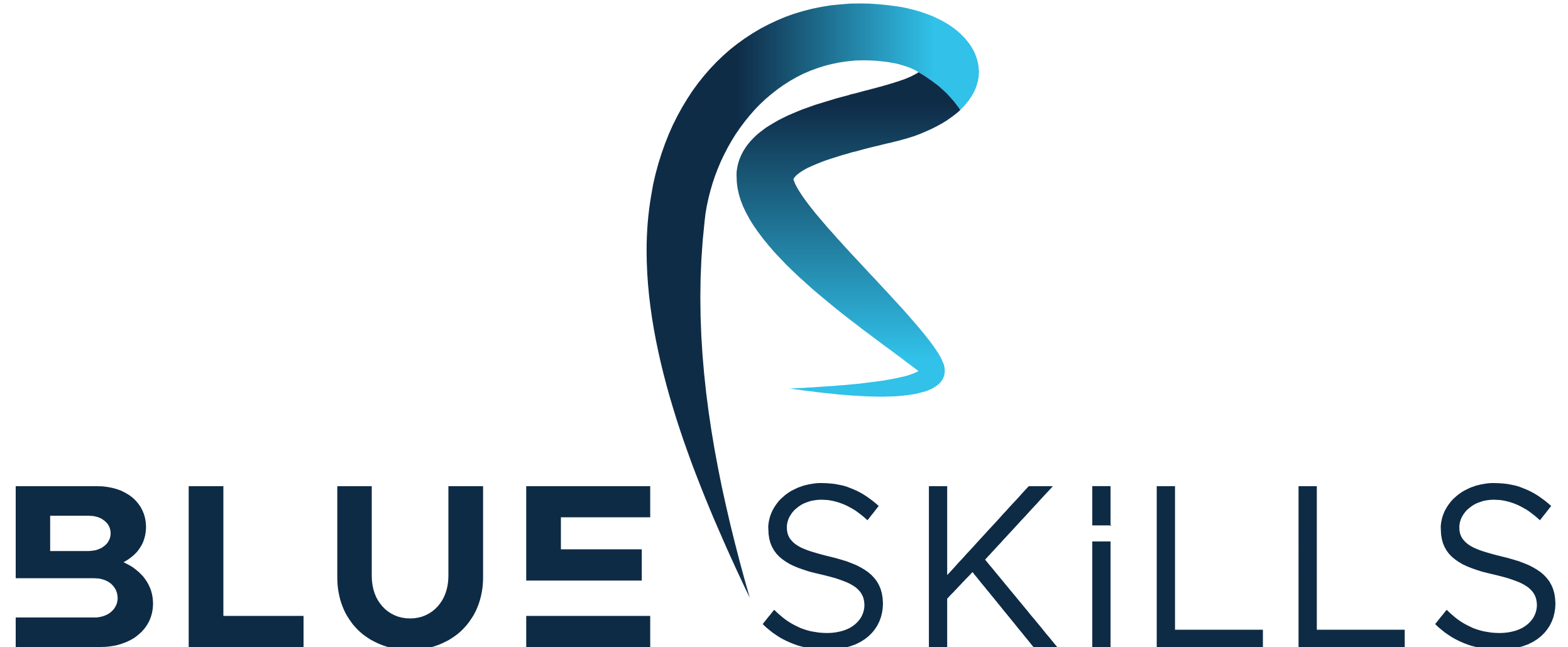 Logo BLUE SKILLS